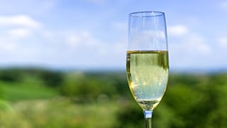 New study finds no evidence of moderate drinking benefits
