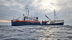 Sea Eye: la portavoce della ong tedesca "Abbiamo evacuato una donna". 