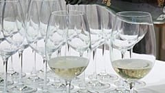 53. Vinitaly eröffnet
