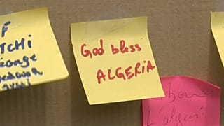 الجزائريون المقيمون في فرنسا يحذون حذو إخوانهم في الجزائر  للمطالبة بالتغيير السياسي