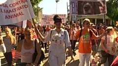 Marcha en La Habana para pedir una ley contra el maltrato animal 