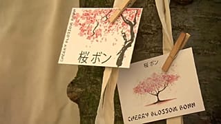 Kirschblüte in Bonn und Tokio