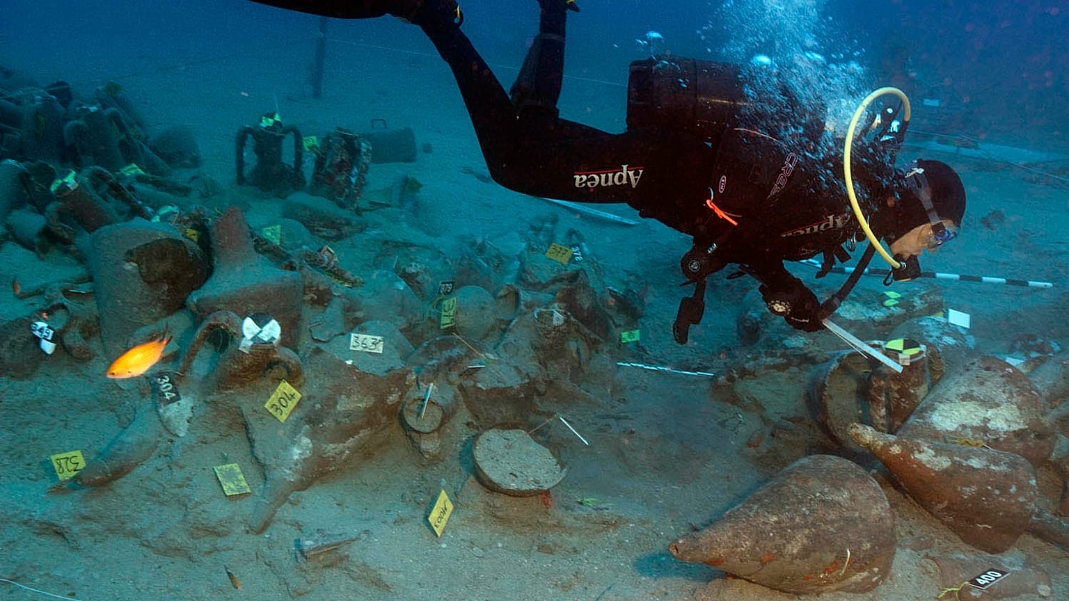 Schiffswrack wird zum Museum