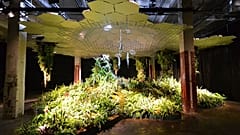Jcbergland own work, Lowline Lab, 140 Essex St., New York, NY