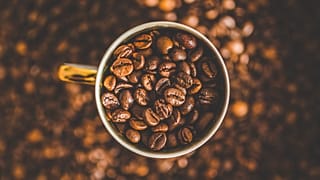 دراسة ثورية: سويسرا تدعي أن القهوة ليست ضرورية لبقاء البشرية