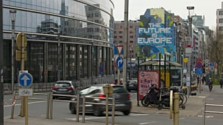 La silvicultura y el plan InvestUE