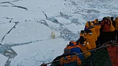 Only 5% of visitors to the Russian Arctic National Park are Russian