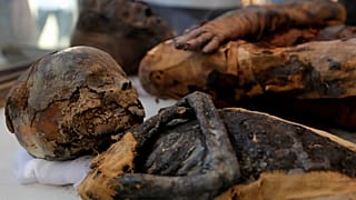 بدون تعليق الأسبوعية: جولة حول العالم لاكتشاف جمال وغضب الطبيعة وإنجازات الإنسان