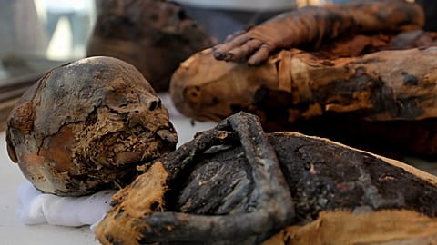 بدون تعليق الأسبوعية: جولة حول العالم لاكتشاف جمال وغضب الطبيعة وإنجازات الإنسان