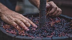 Cheers to sustainable Champagne