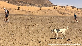 Cactus avec deux autres concurrents du Marathon des Sables