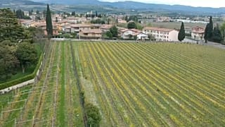 Rumo às eleições europeias: Veneto