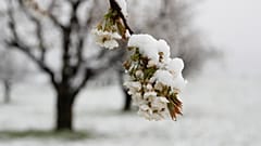 10 der schönsten Bilder vom Schnee - Winterwetter auch zu Ostern?