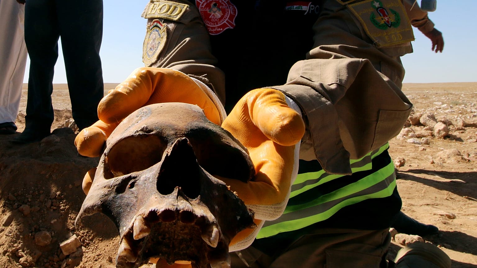 Irak: Massengrab mit Überresten von 300 Kurden ausgehoben