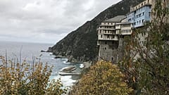 Ο φυτικός πλούτος του Αγίου Όρους