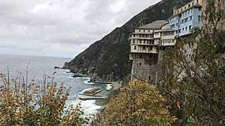 Ο φυτικός πλούτος του Αγίου Όρους