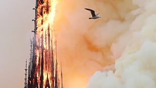 Notre Dame fire: Social media users and politicians express solidarity with Parisians