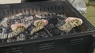 شواء أرجل التماسيح في اليابان