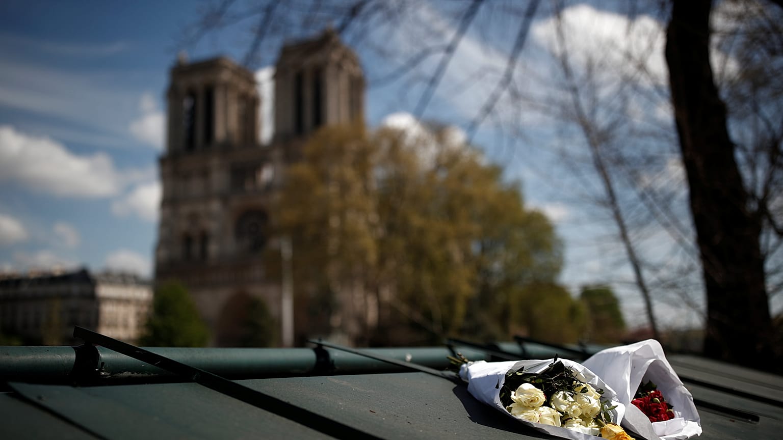 Notre-Dame: Aufbau in nur 5 Jahren?  