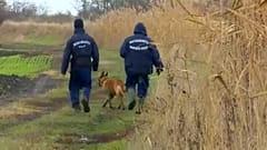 Kamionban és vonaton jönnek a határsértők