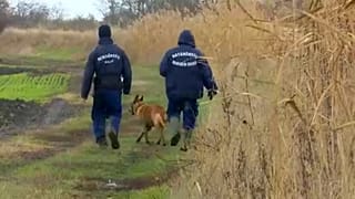 Kamionban és vonaton jönnek a határsértők