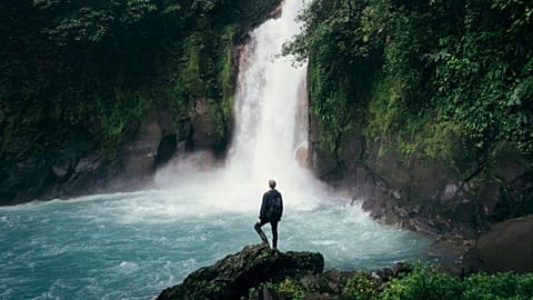 Trash to trunks, a field guide to voluntourism and other trends