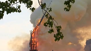 "Острый" вопрос: каким будет шпиль Нотр-Дама 
