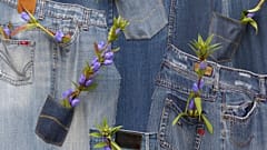 "The global fashion industry is opaque, exploitative and environmentally damaging"
