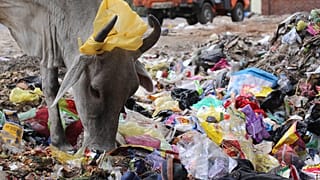 "Végig kell gondolni, hogy mi az, amit tényleg be kell csomagolnunk"