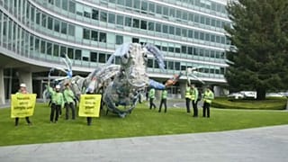 Green campaigners accuse Nestlé over single-use plastics
