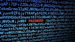 قرصان بريطانيا "البطل" يقر بالذنب في تهم أمريكية تتعلق ببرمجيات خبيثة