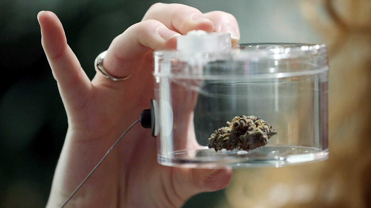 420 is a day to celebrate, whether you call it weed, marijuana or cannabis ǀ View