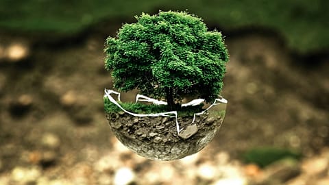 Cos'è la Giornata Mondiale della Terra e cosa potete fare nel vostro piccolo