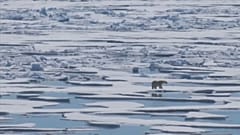 Giornata della Terra: le minacce al pianeta