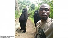Goriller iki ayak üzerinde durarak bakıcılarıyla selfie çektirdi