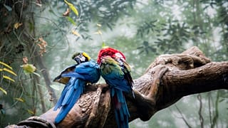 Best wildlife experiences of May