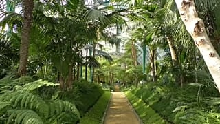 Les serres royales de Laeken ouvrent leurs portes au public