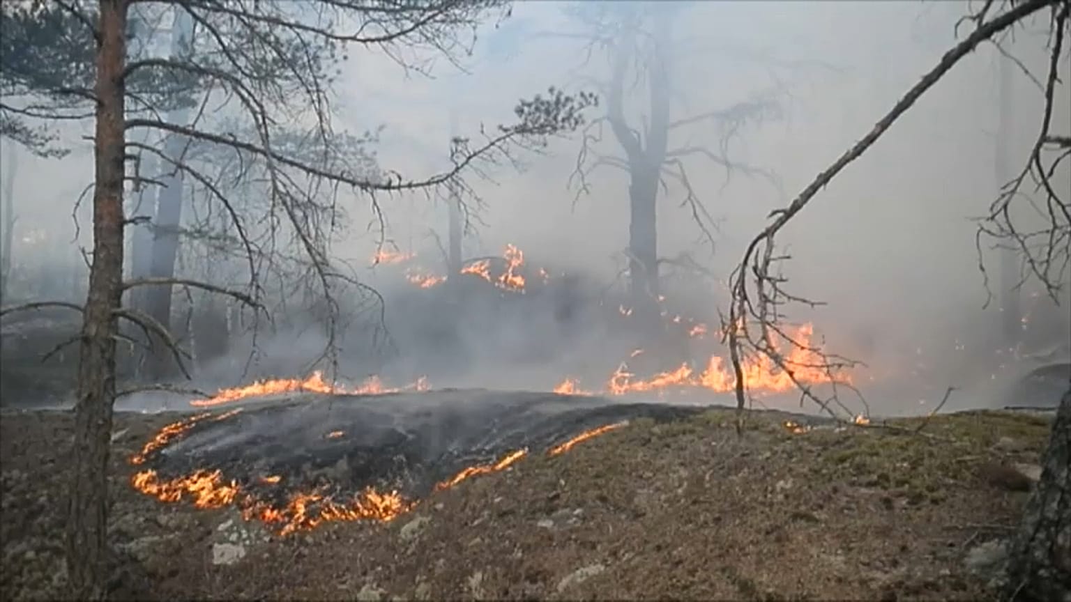 Seca e incêndios assolam a Europa