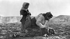 نسل کشی ارامنه
