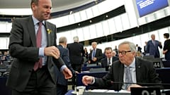 Perfil del Partido Popular Europeo, en "The Brief from Brussels"