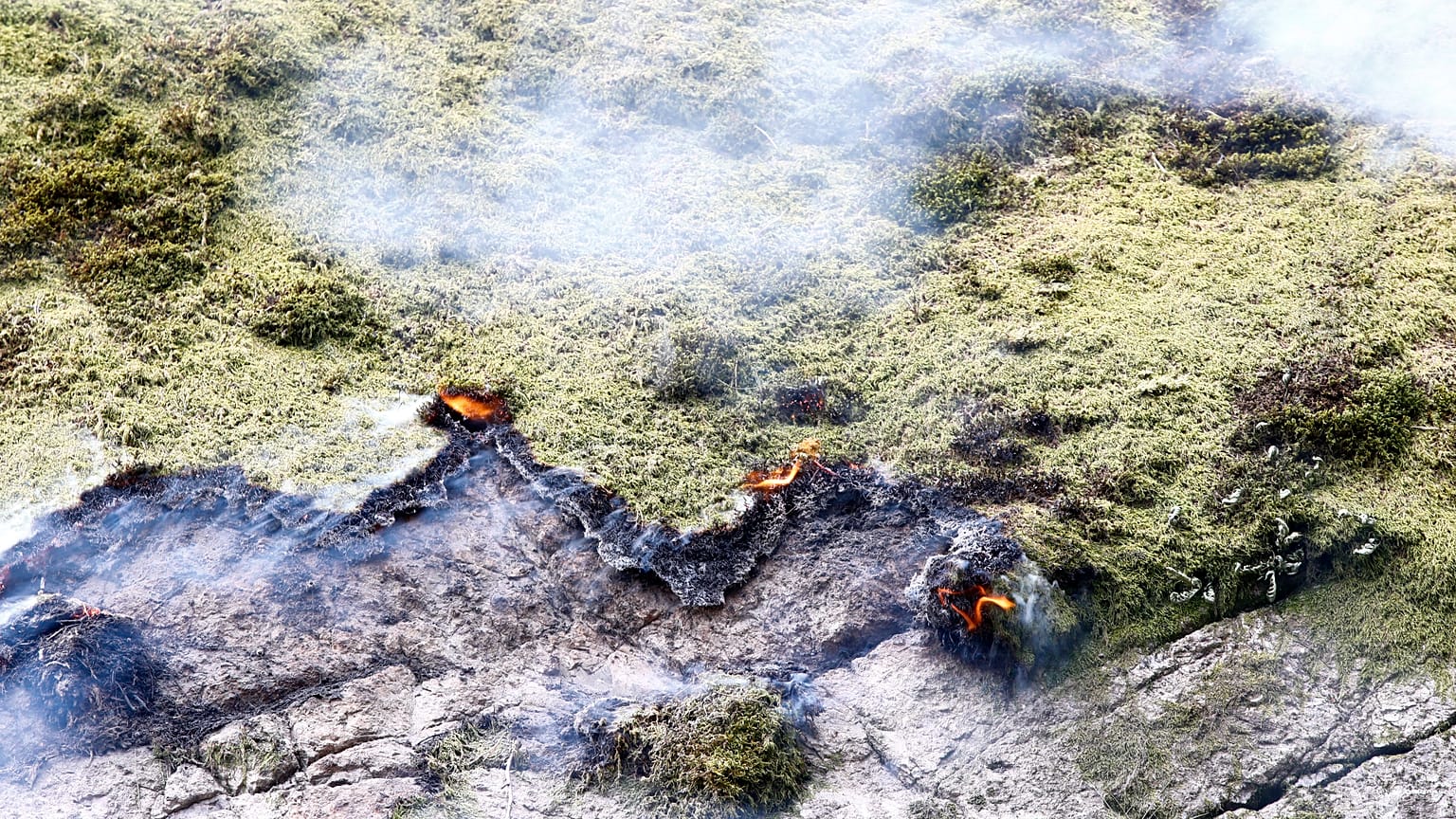 Sweden and Norway 'concerned' by unusual pre-season forest fires 