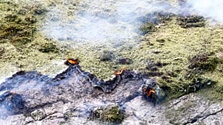 Sweden and Norway 'concerned' by unusual pre-season forest fires