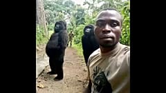 Különleges gorilla-szelfi
