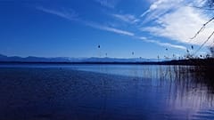 Ellen Schwiers mit 88 am Starnberger See gestorben