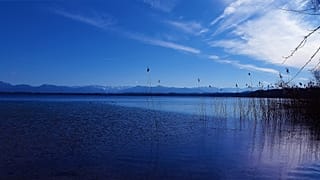 Ellen Schwiers mit 88 am Starnberger See gestorben