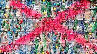 Sondaggio Change.org: gli europei vogliono una Ue più verde e più giusta
