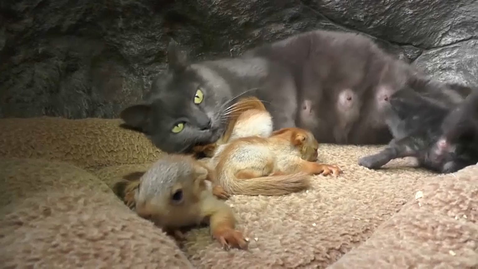 Una familia poco ortodoxa 