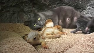 Una familia poco ortodoxa