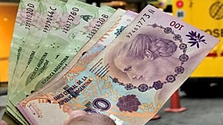 Argentine : le peso s'effondre face au dollar