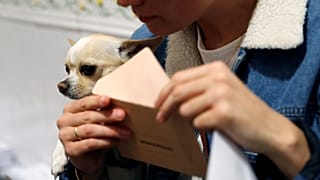 Spanien hat gewählt: 5 der schönsten Fotos